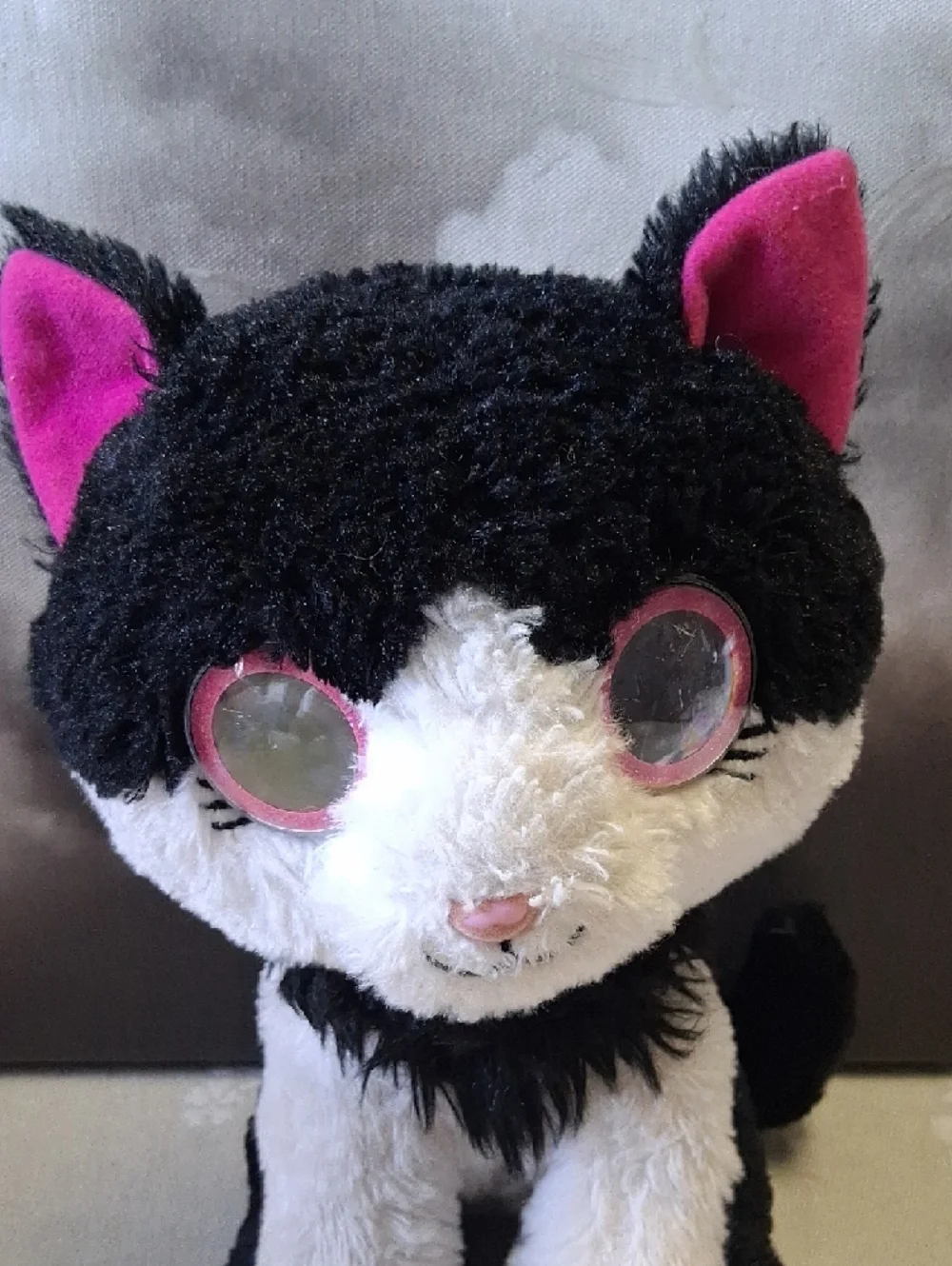 bright eyes adorable black